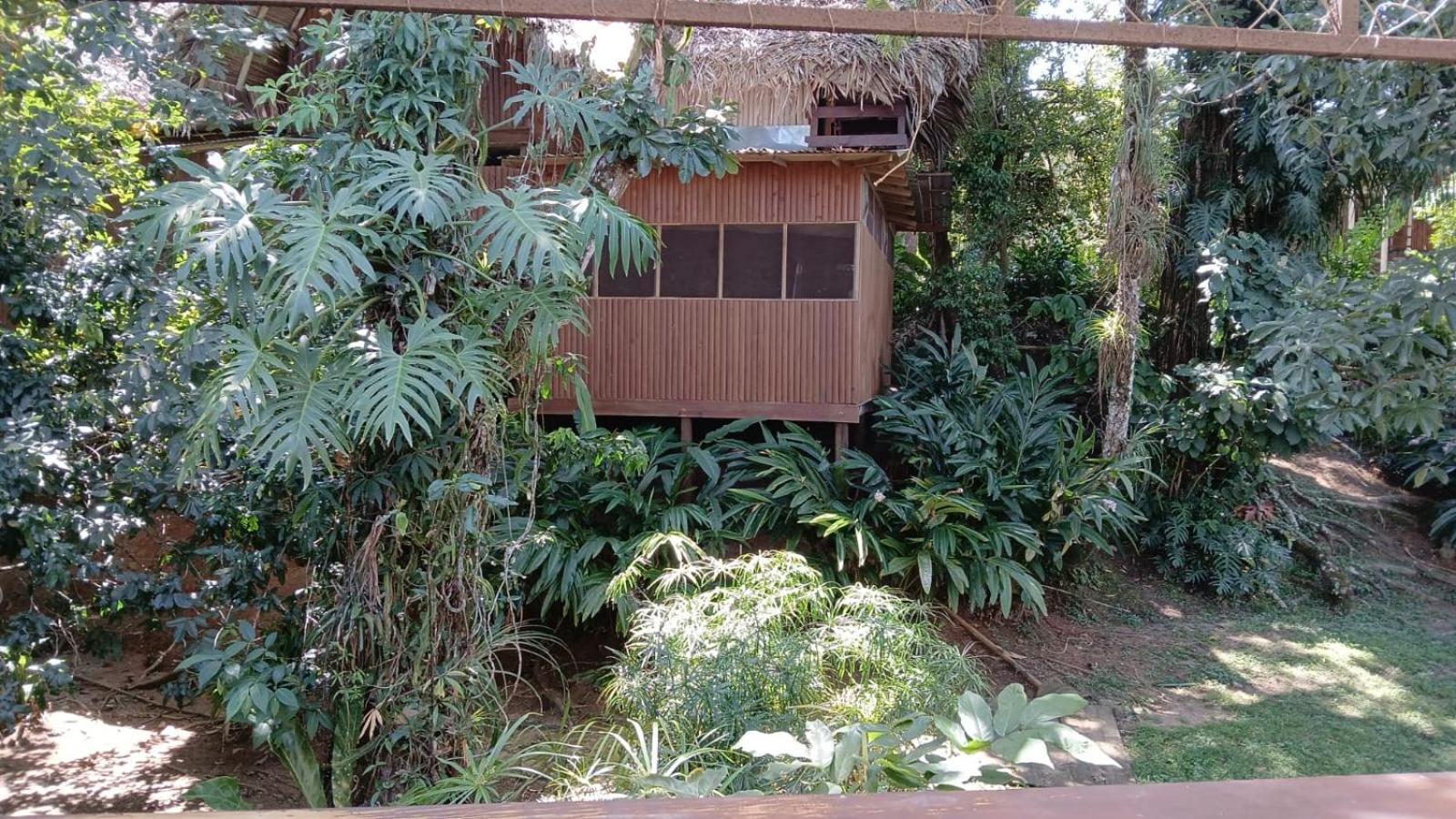 Tortugal Boutique River Lodge Río Dulce Exterior foto
